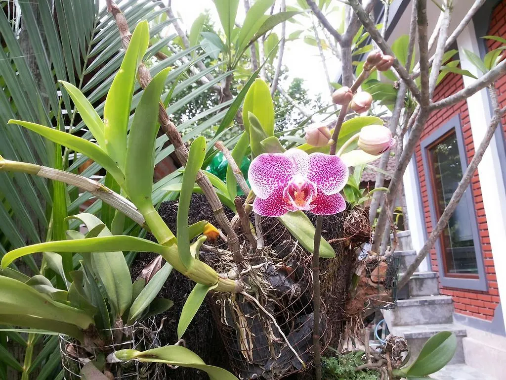 Dekwah Homestay Ubud Indonesien