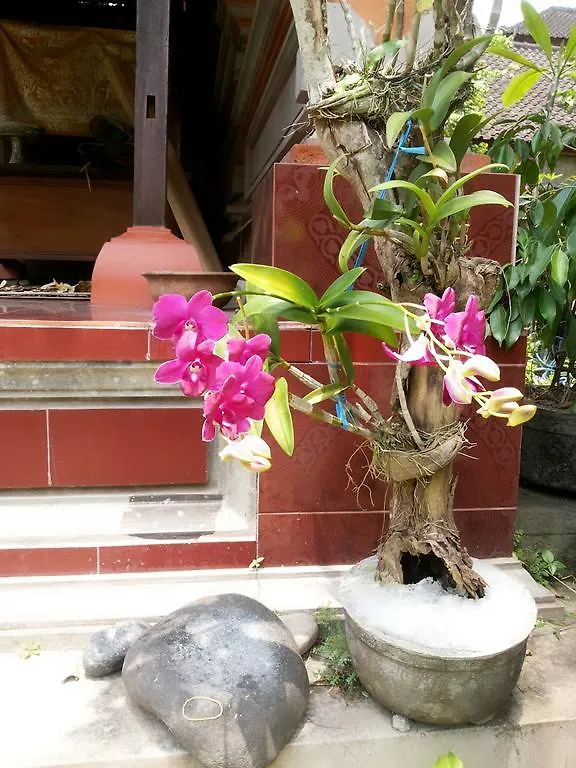 Dekwah Homestay Ubud Indonésie